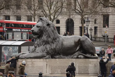 DSC_5771 (Large).JPG